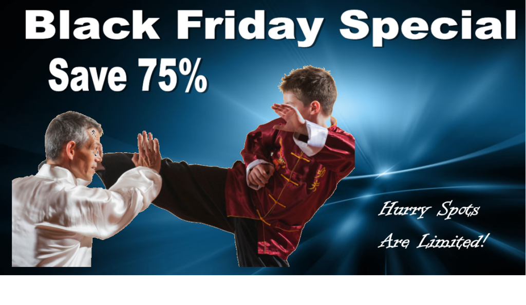 Black Friday Rothrock S Kung Fu Tai Chi