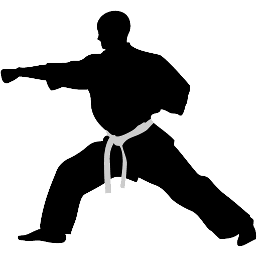 Kung Fu, Karate, Martial Arts, Self Defense, Kickboxing