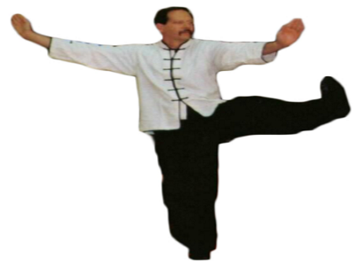 Tai Chi Kick